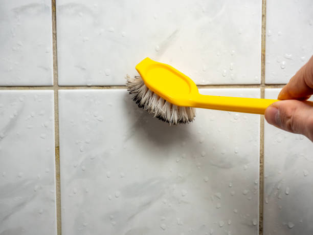 Best Residential Mold Remediation in Toccoa, GA