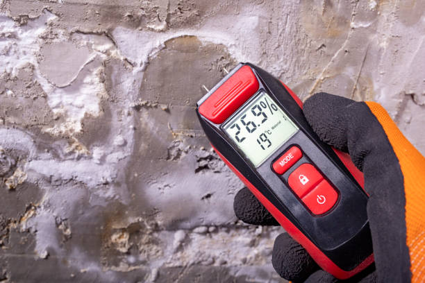 Toccoa, GA Mold Remediation Company